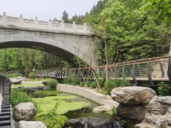 -白水寺森林公园