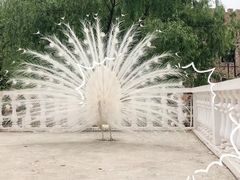 -金庭庄园酒店-停车场