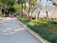 -凤岭儿童公园