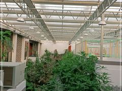 -滕头生态酒店(奉化店)