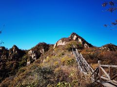 -大岭沟猕猴桃谷风景区