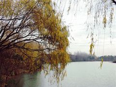 -昆山城市生态森林公园