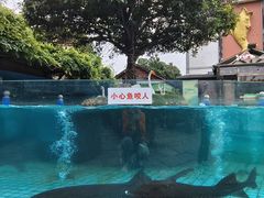 -天怡·鱼工厂(临江店)