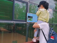 -羊亭河湿地公园