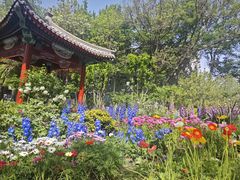-西海子公园
