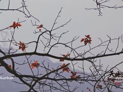 -十九峰景区
