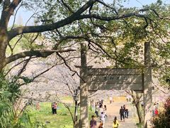 -苏州上方山国家森林公园