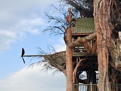 -云漫湖生态度假公园