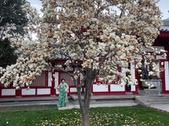 -大慈恩寺(大雁塔)