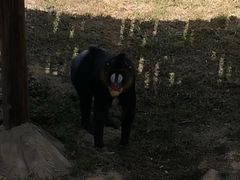 -石家庄市动物园