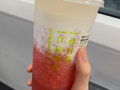 -奈雪的茶(深圳北站店)