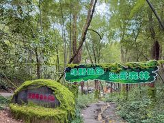 -石燕湖生态旅游景区