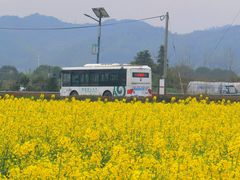 -东梓关景区村庄