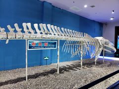 -福州罗源湾海洋世界旅游区