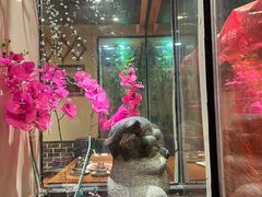 -状元阁烧烤(新华路总店)