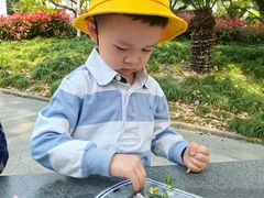 -豆初托育园 Baby Bean Day care Center