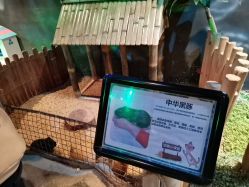 -酷嗒动物文化乐园(cutezoo西溪乐天城店)