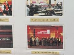 -胖大姐黄辣丁鱼庄(新津店)