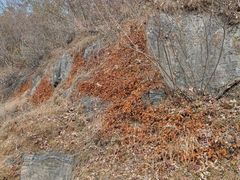 -狼牙山风景区