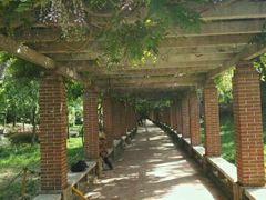 -南戴河国际娱乐中心