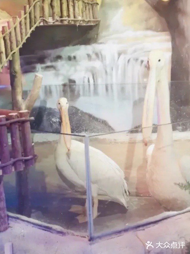 168￥带娃去看看小动物吧~