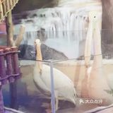 168￥带娃去看看小动物吧~