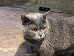 -小时光咖啡馆(开森度假森林店)