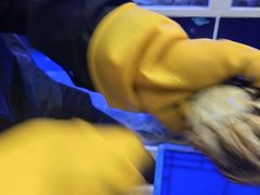 -蟹状元大闸蟹·年货·粽子(成都成华店)