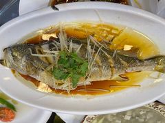 -望海潮海鲜店 特色家常菜(在海一方店)