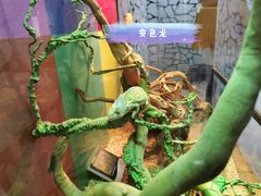 -海合安武汉极地海洋公园