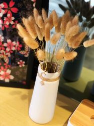 -觅屿日式脱毛美肤