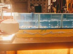 -火舞泰·泰式海鲜火锅餐厅(世纪城店)