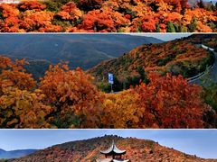 -迎泽公园
