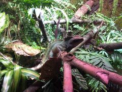 -上海海洋水族馆