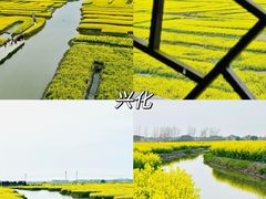 -杨家堂村
