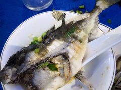 -东江海鲜大排档·潮汕菜·砂锅粥