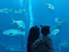 -海合安成都极地海洋公园