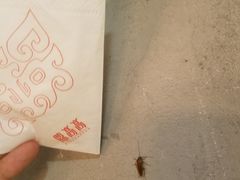 -鼎高高陕西美食(龙德广场店)