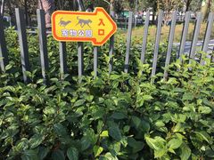 -景田北六街公园宠物主题园