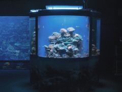 -江和美海洋公园