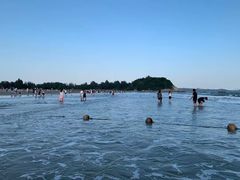 -碧海金沙