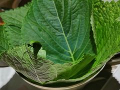 -西塔老太太泥炉烤肉(望京一店)
