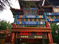 -Tubestation站点比萨(五道营店)