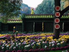 -惠山古镇·寄畅园