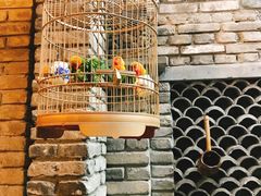 -鱼桥巷·美学川菜