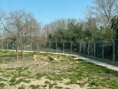 -上海野生动物园