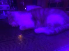 -星宿秘码(鼓浪屿老店)