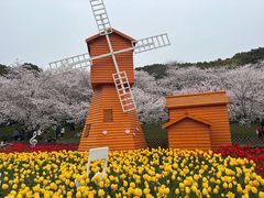 -苏州上方山国家森林公园
