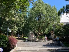 -敬亭山风景名胜区