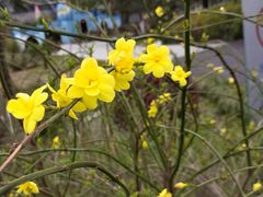 -白塘生态植物园